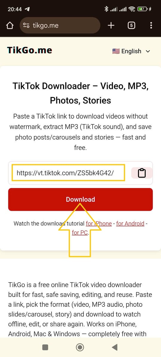 Download-Format auswählen