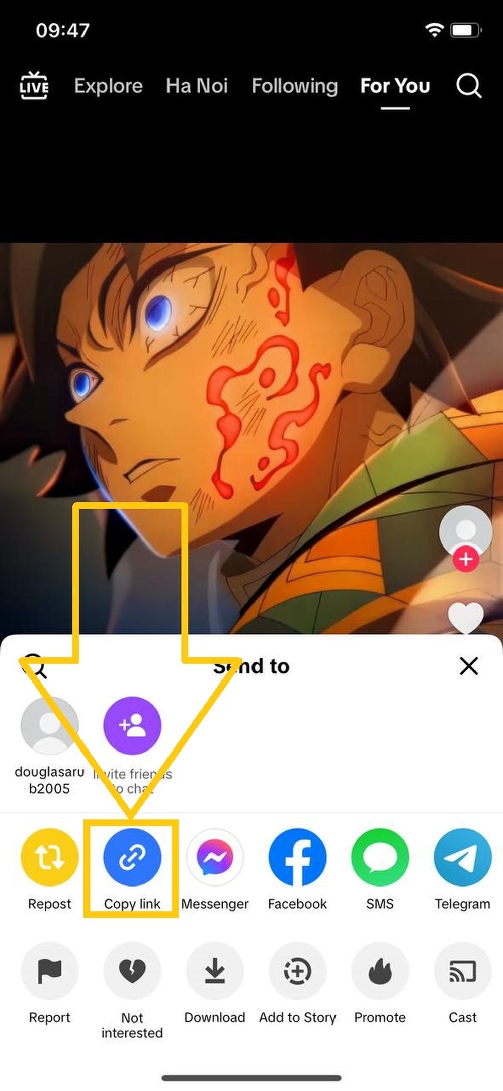 TikGo in Safari aufrufen