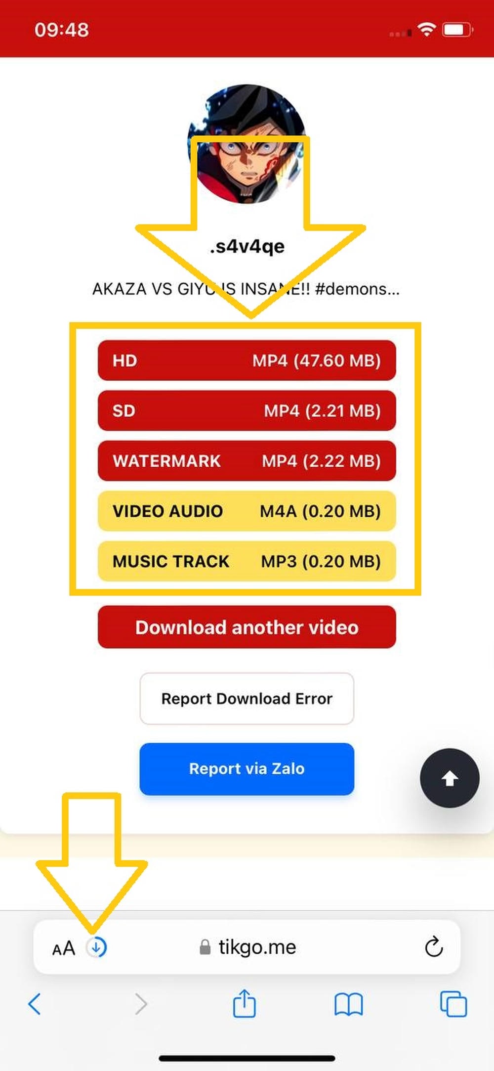 Safari lädt Video herunter