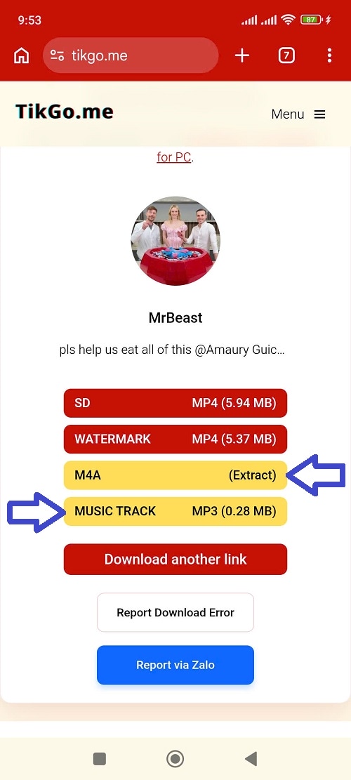 Captura de pantalla que muestra los dos botones MUSIC TRACK MP3 y M4A Extract en TikGo